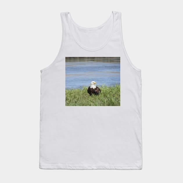 Bald Eagle, Wildlife Gifts, Wild Birds Tank Top by sandyo2ly